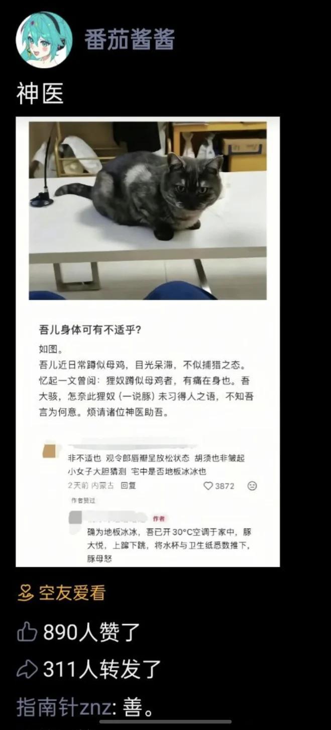 神医​​​