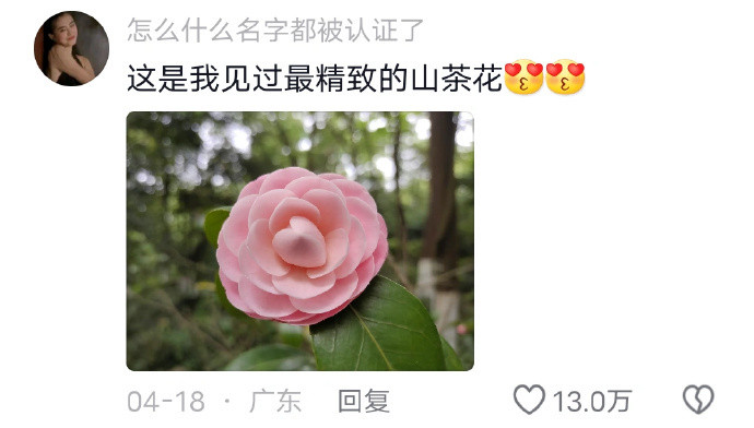 大自然真的好神奇啊​​​