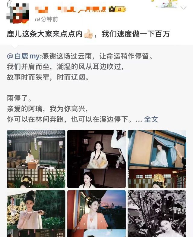 白鹿粉丝好丢人啊有功夫给同事做📚就是没空给自家哥哥做📚就这样被秤砣们压一辈子