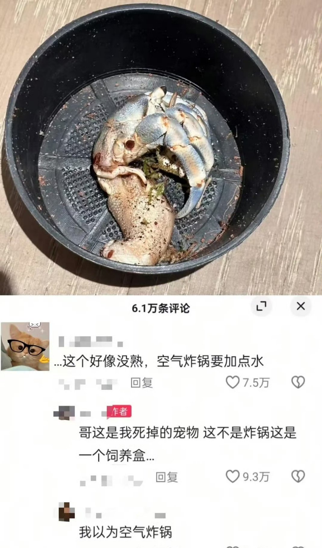 哈哈哈哈