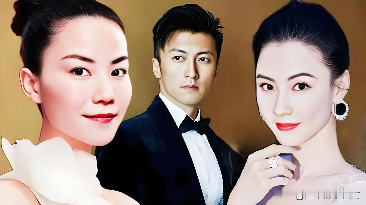 张柏芝这几日被前经纪人坑的体无完肤，王菲作为张柏芝的前夫婆子，自然是不乐意的。王