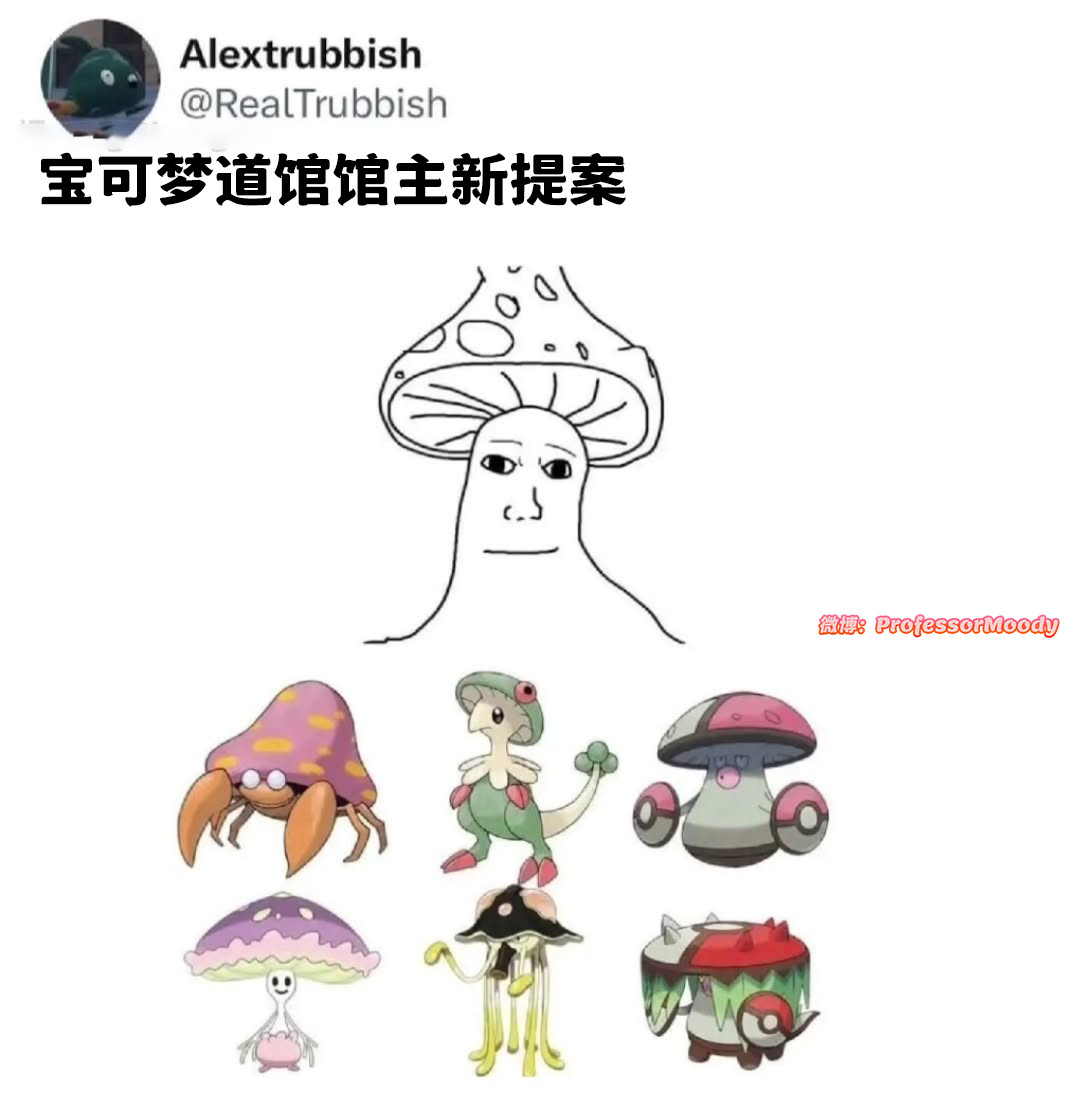 强力支持菇菇道馆！☆(ゝω･)v​​​