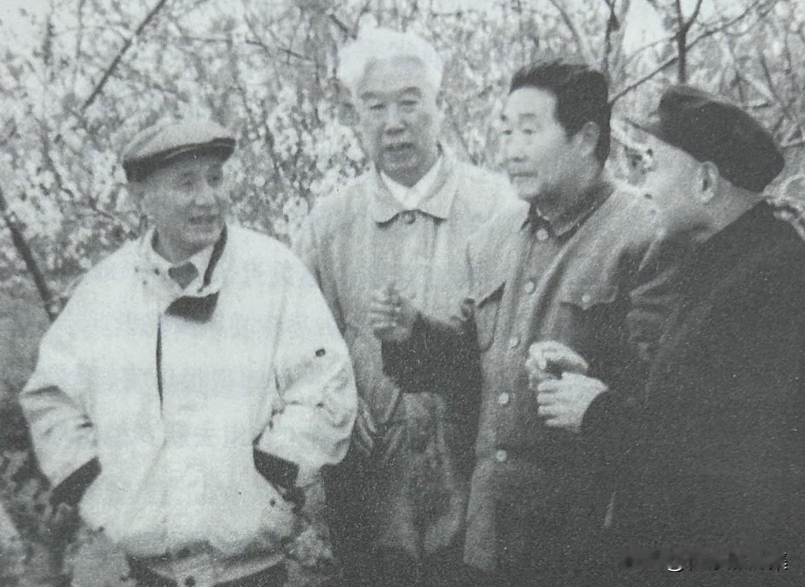 1997年，穆青、杨贵、郑永和、吴金印在卫辉市唐庄桃园的老照片。其中杨贵（林县县
