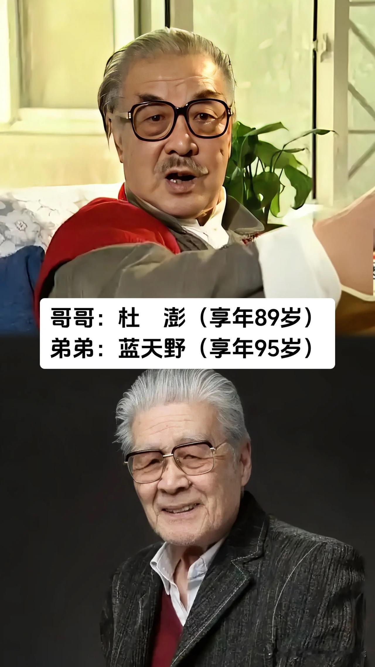 演艺圈藏着不少亲兄弟姐妹，一家人双双扎根影视行业，杜澎、蓝天野、秦怡、秦文、李纬