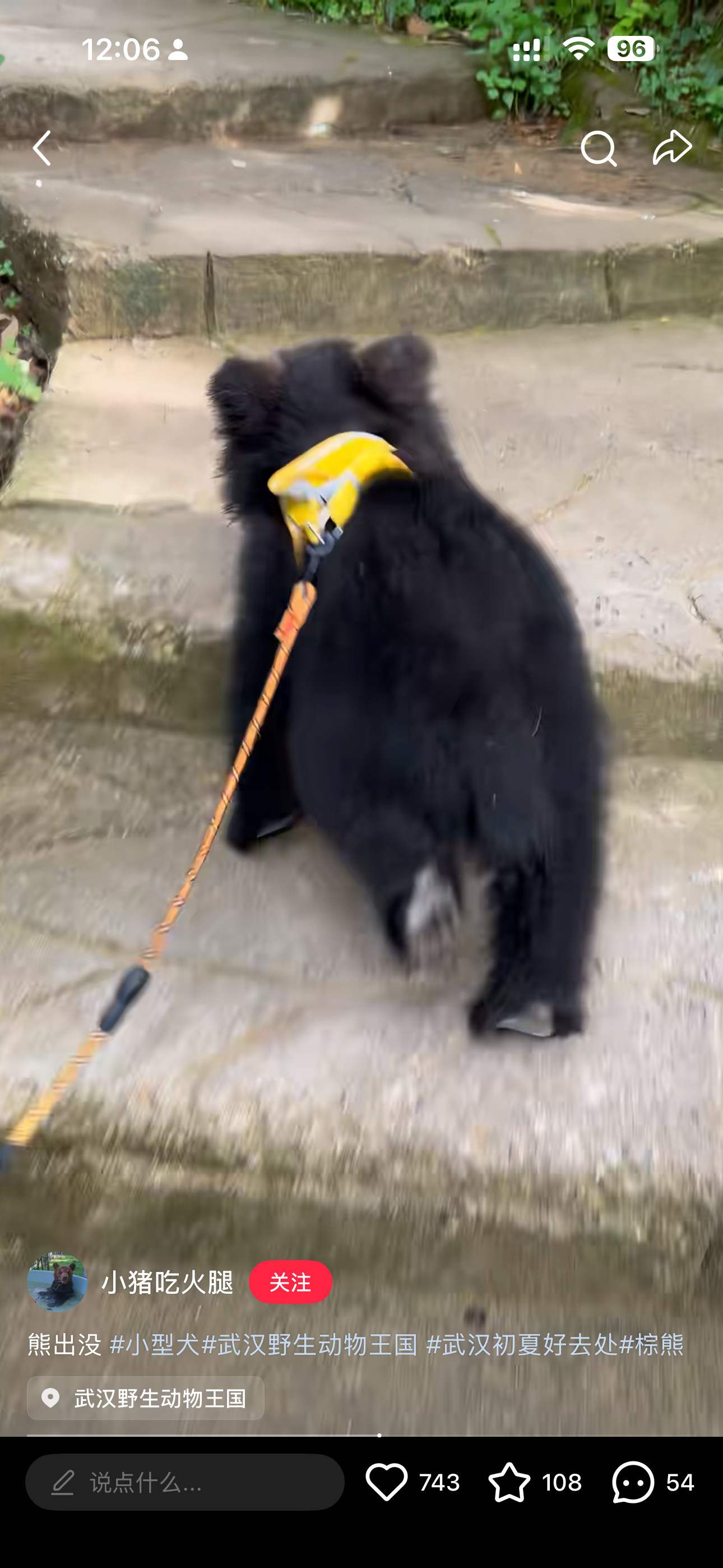 这是Lago你失散多年的大哥吗？@彭小苒的爱犬辣狗