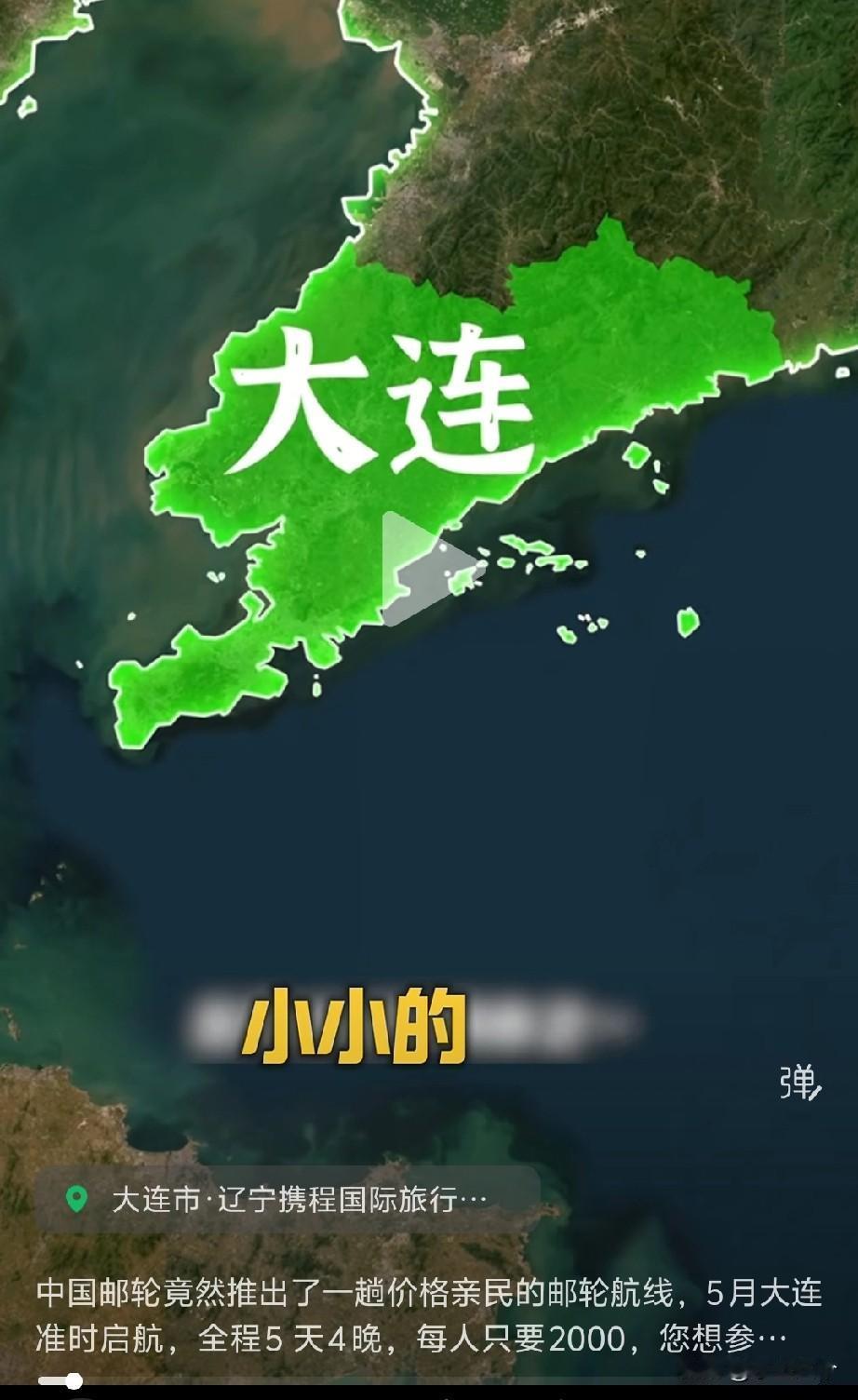 有些人的认知，我真表示同情，那个单位的领导找这个弱智做网络推广，还小小的大连，你