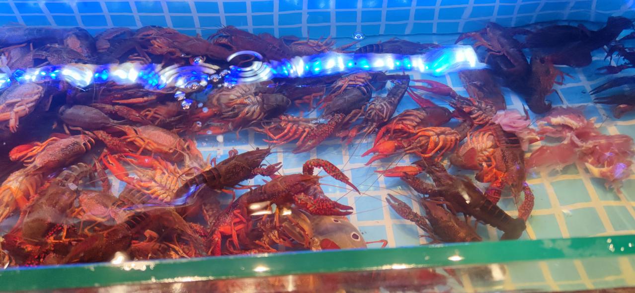 海鲜自助餐能吃回本吗？