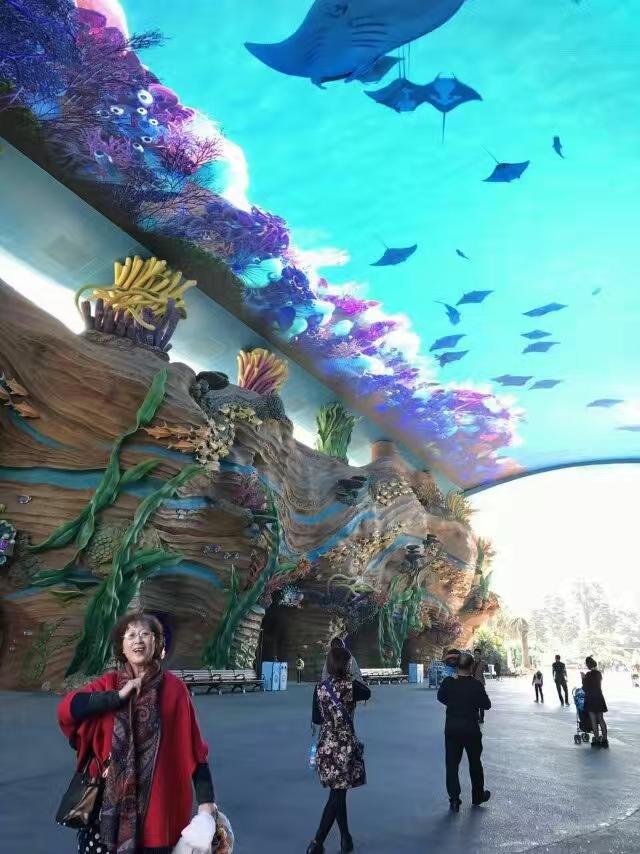 2016年12月底，我从湖南赴广州和珠海，陪伴孙女开心的玩了10天。我们住珠海长