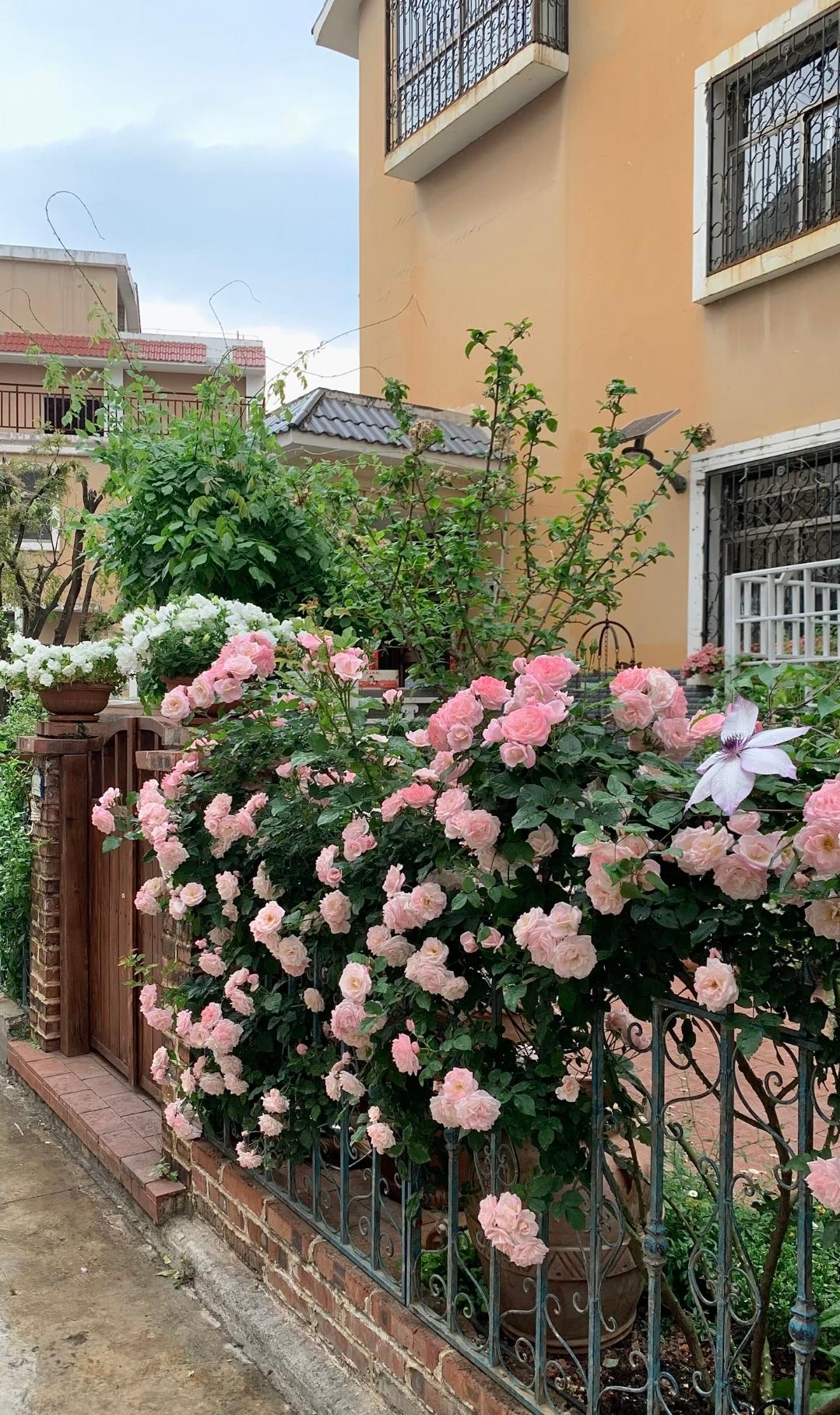 54岁二婚同事突然离婚！看完太心酸我同事今年54岁，二婚和现任搭伙七八年，