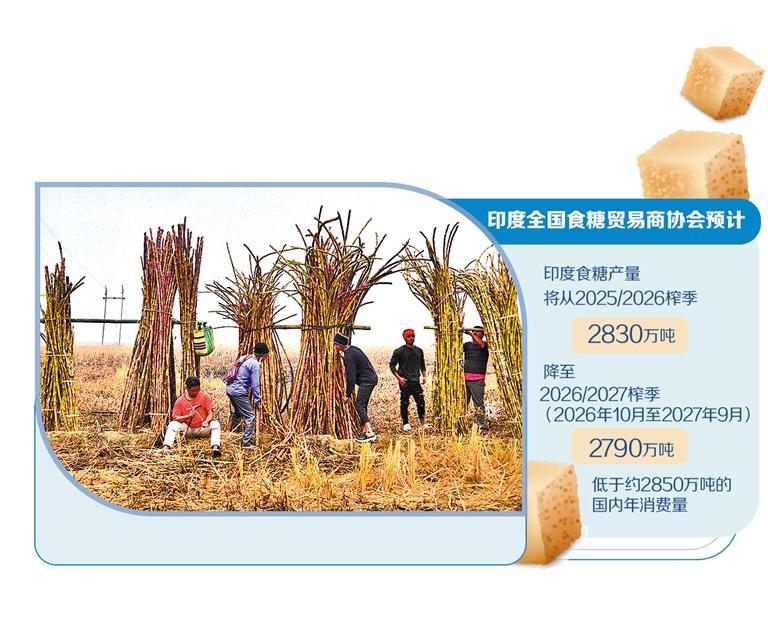 印度制糖业转型压力大