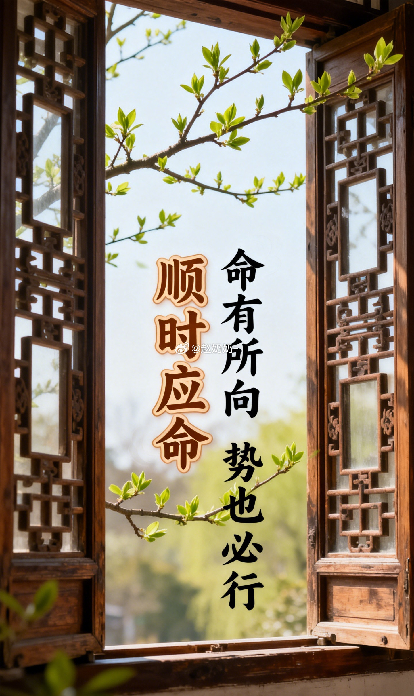 前几天看了一个年轻人的盘。他在体制内待了五年，上个月突然裸辞去合伙做技术创业，家