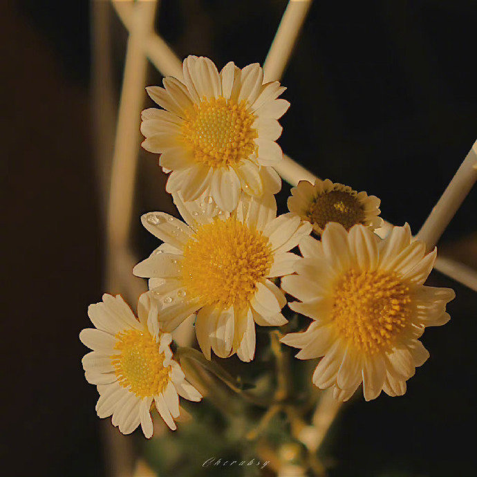 说谎和沉默是现在人类社会日渐蔓延的两大罪恶。实际上，我们经常说谎，动不动就沉默。