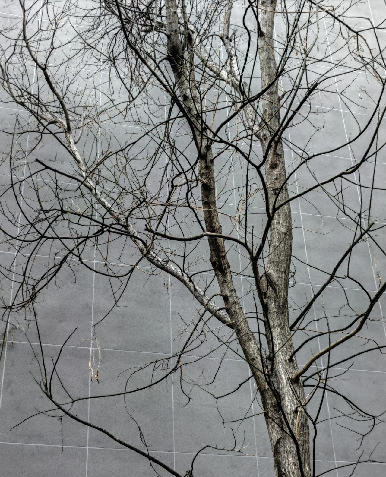 一同事，与部门人在外吃饭时喜欢就着大蒜瓣，说是杀菌；点菜喜欢动物“下水”，时不时