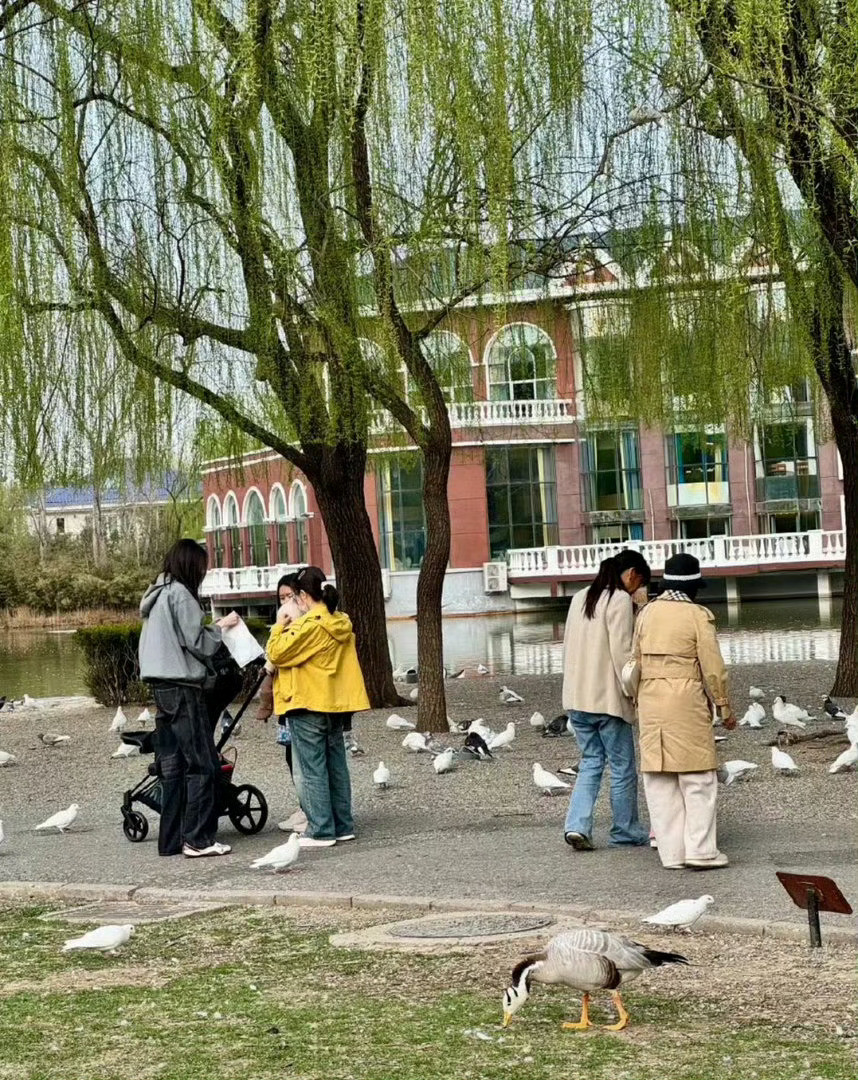 何穗和陈伟霆这种健康的夫妻关系就令人很羡慕偶遇何穗公园遛娃