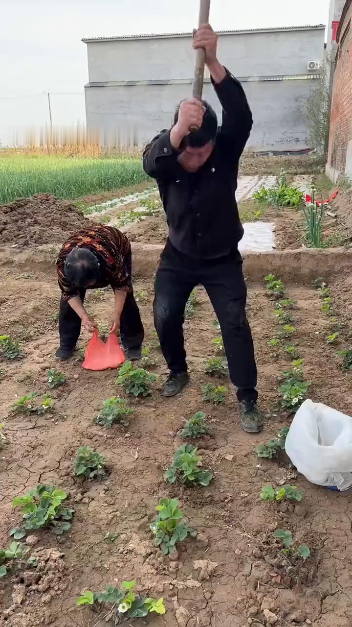 有人。