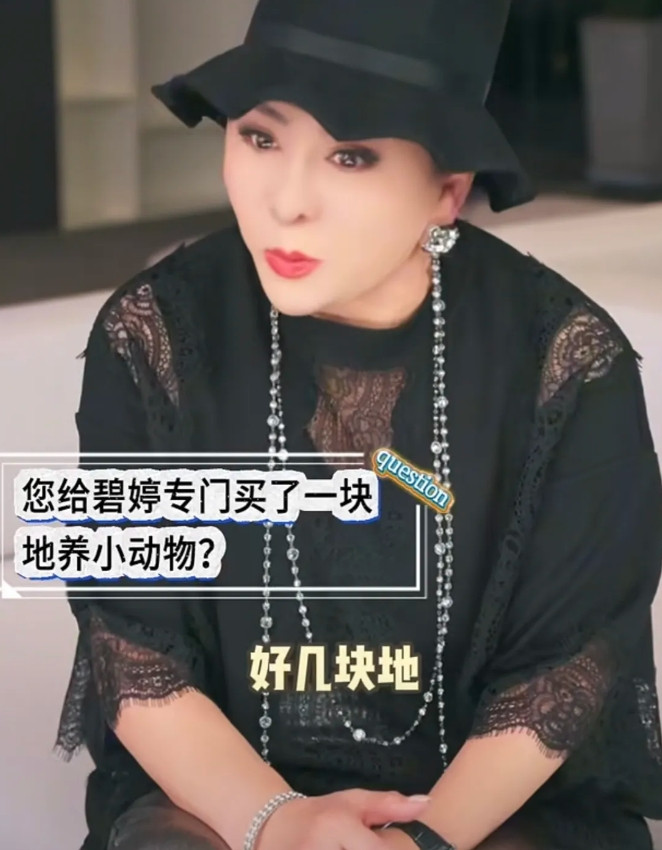 向太说，给郭碧婷买了好几块地，刚好是连着，为什么决定孙女孙子在中国台北上学，最主
