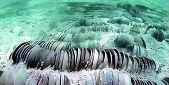 1998年，德国拿出7万件中国文物，强势开出3个亿的天价。正在中国犹豫时，德国却