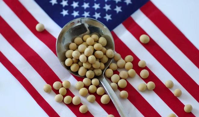 美国大豆为什么非得卖给中国？其实从美国的角度来看，三年不向中国出口大豆，扩大国内