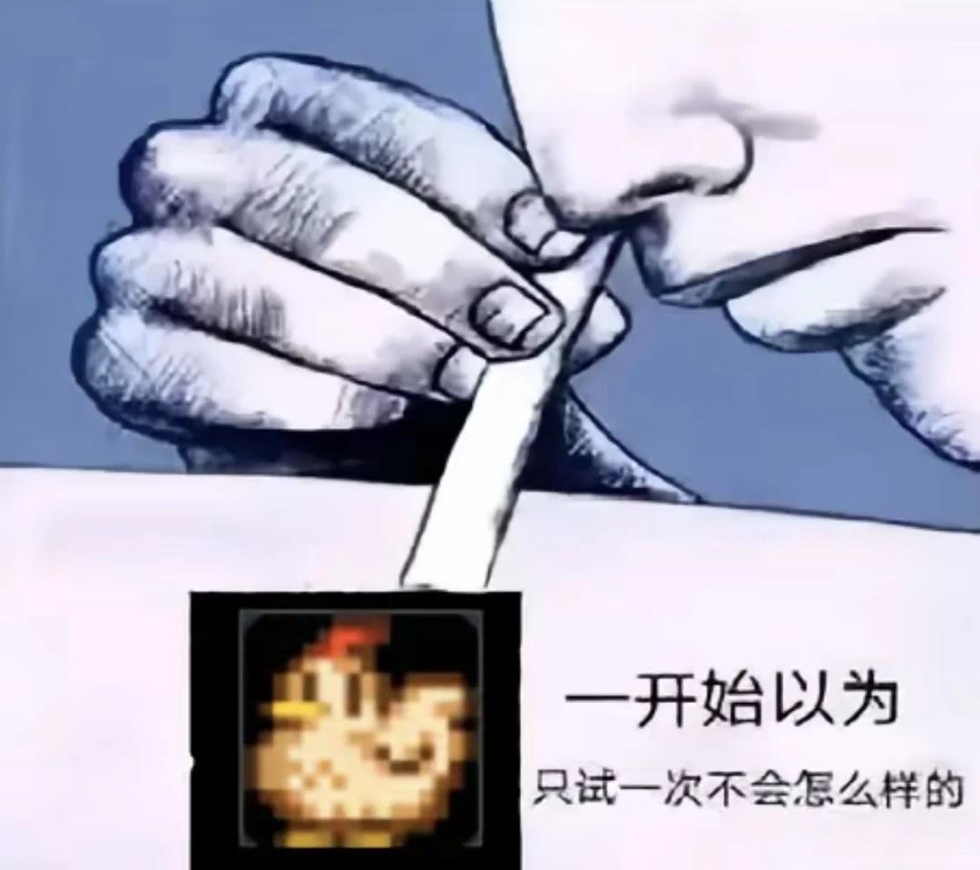 一些星露谷物语meme梗图梗图