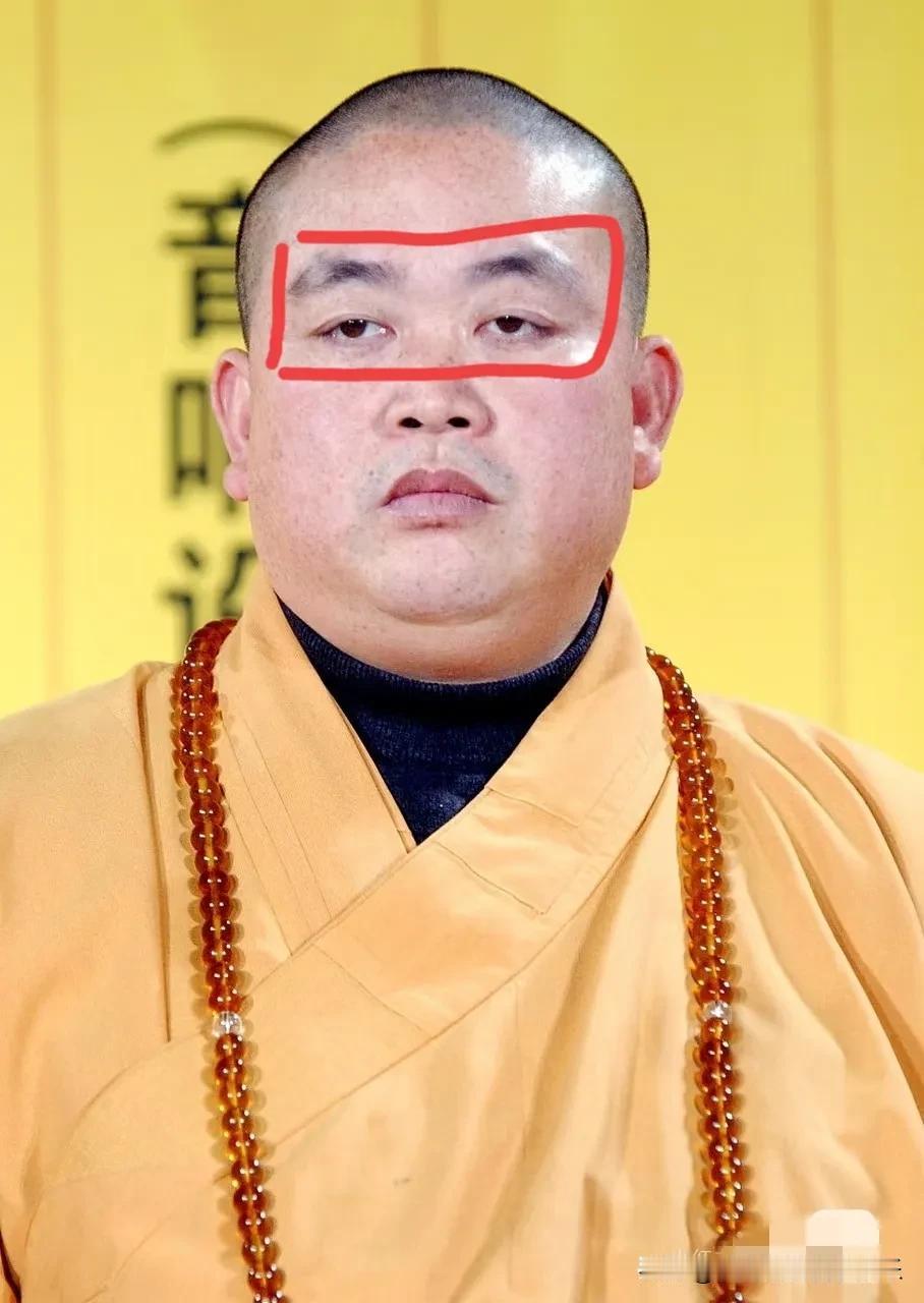 跟闺蜜聊天时，聊到释永信，她说，一看这和尚面相就不像是好人。看他本人的面相，