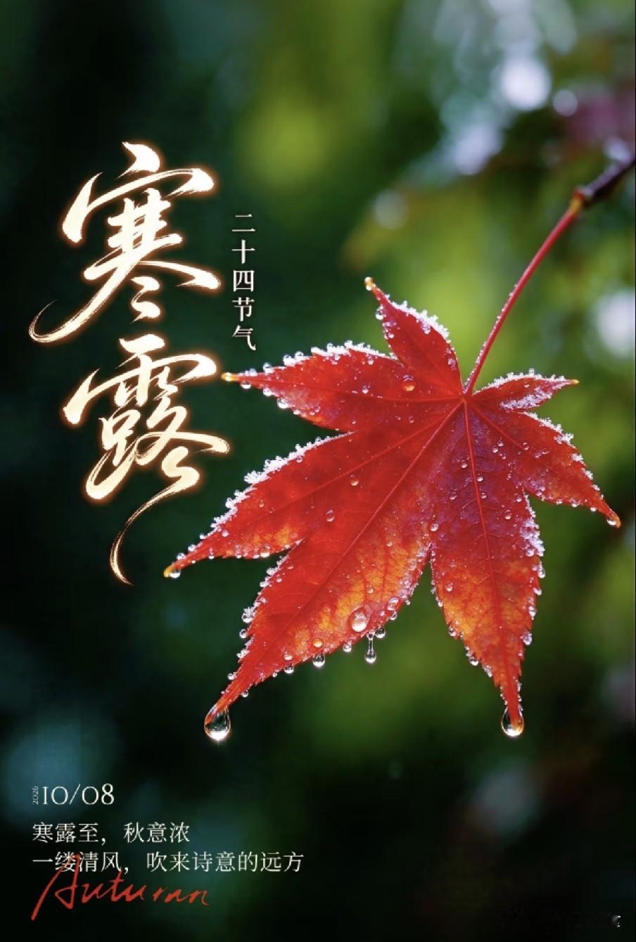 并非迷信！今日寒露，中老年牢记1不去、2要防、忌3样，安稳入冬秋风渐冷，寒