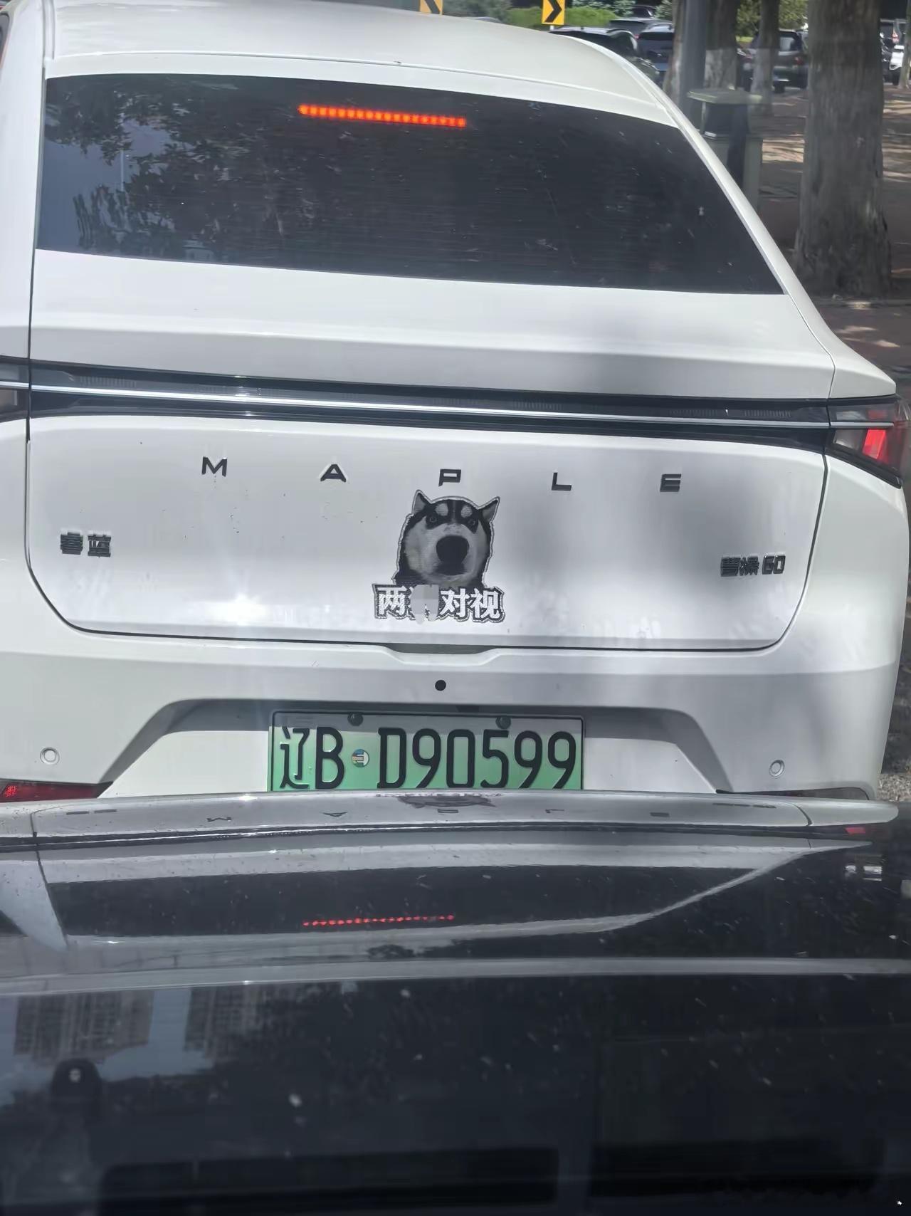 大连有个车主不知道咋想的，贴了个车贴，把车开路上，跟在他后面的司机还得被他骂。后