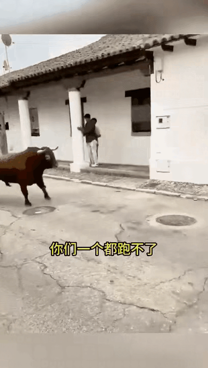 牛太不讲武德了[捂脸哭]人家小伙玩手机并没招惹你啊