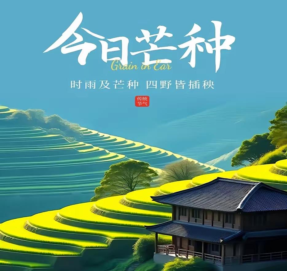 芒种时节，万物并秀，农事繁忙1.芒种既至，螳螂应节而生，见天地生物之机。