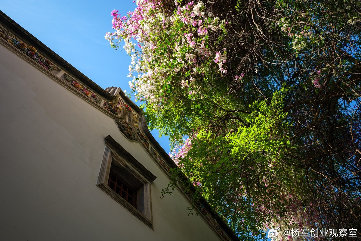 为什么你看到的新能源，不是真正的新能源？当所有人都在谈论环保与补贴时，一场关于国