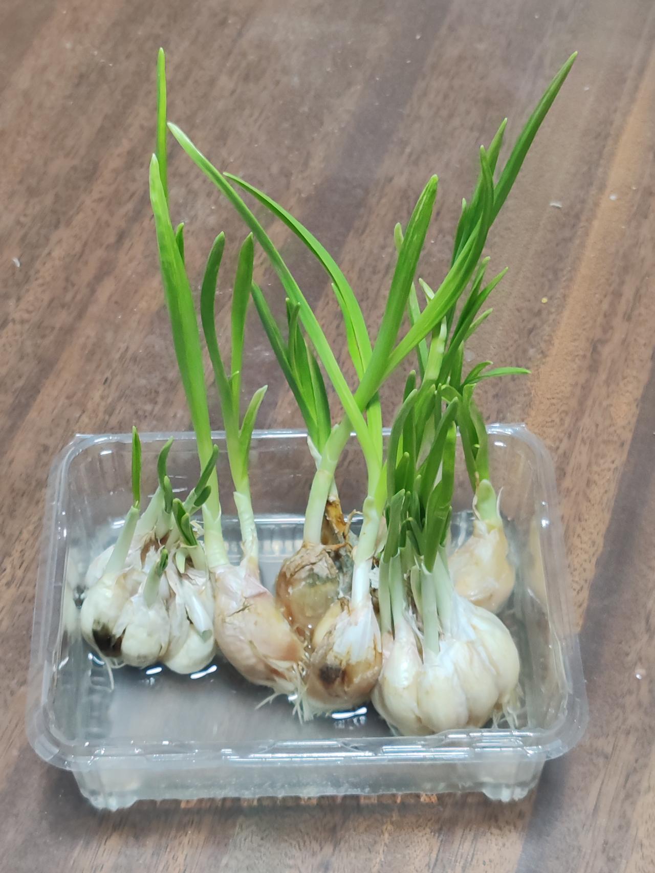 人作为杂食动物，过度偏好某一类食物，都会导致营养不均衡。五谷杂粮、肉蛋奶茶，都应