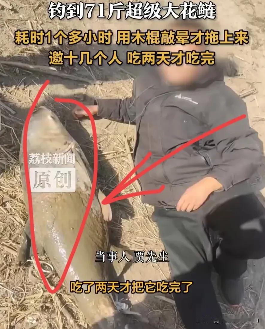 这能吹一辈子！河北邢台，一男子在野坑钓鱼，起竿时以为挂底了，没想到水下传来巨大的