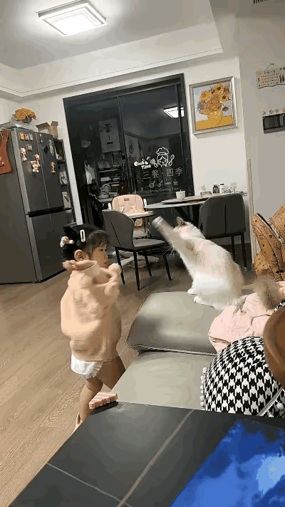 女孩和猫咪即是一对好朋友，也是一对小冤家。上一秒还玩的如胶似漆不亦乐乎，下一秒就