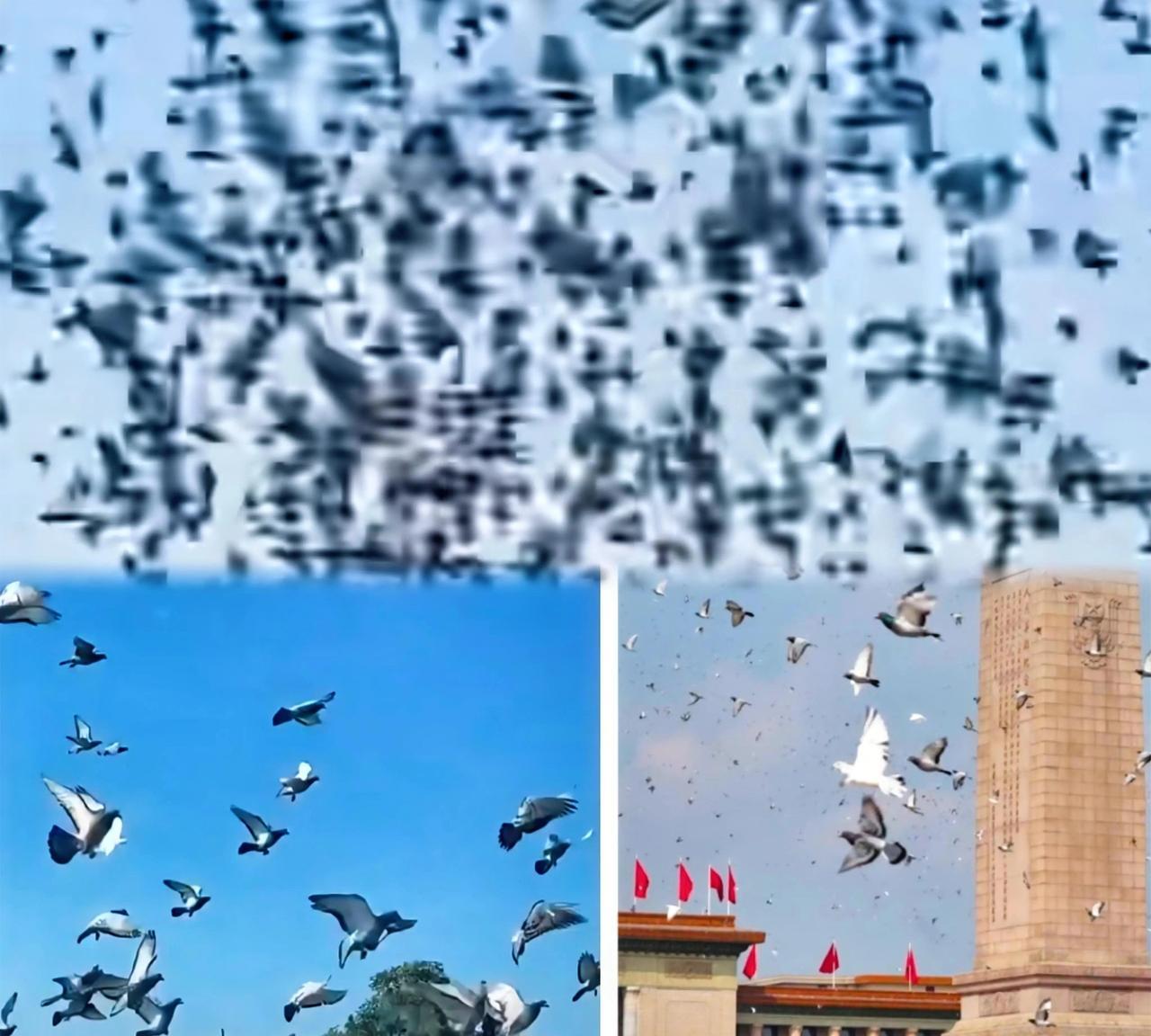 朋友家放出17只鸽子，现在飞回来29只，有8只是他的，剩余估计是给他带回来的“路
