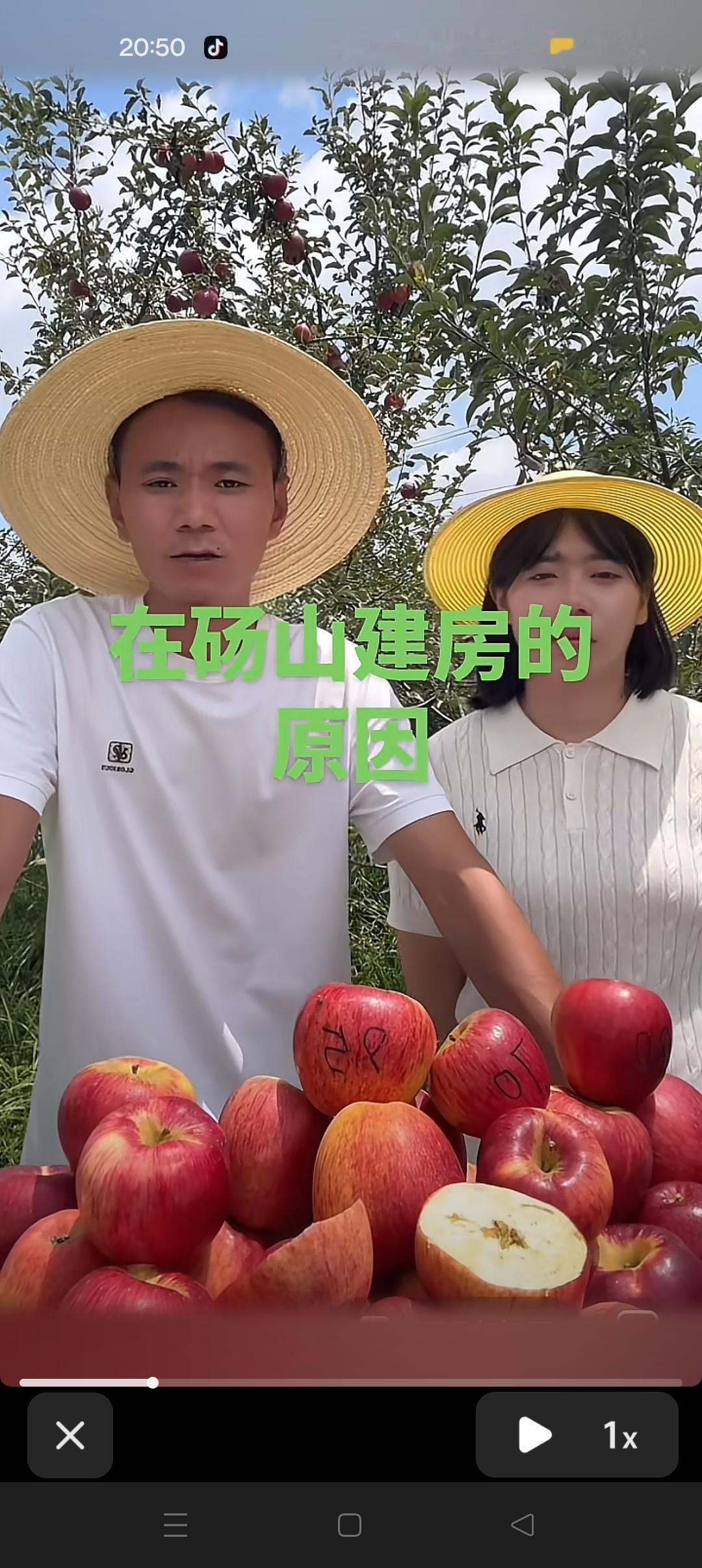 怀远回应在砀山建房的原因？他说：砀山建房是发展农业扎根农村，发展农业。农业