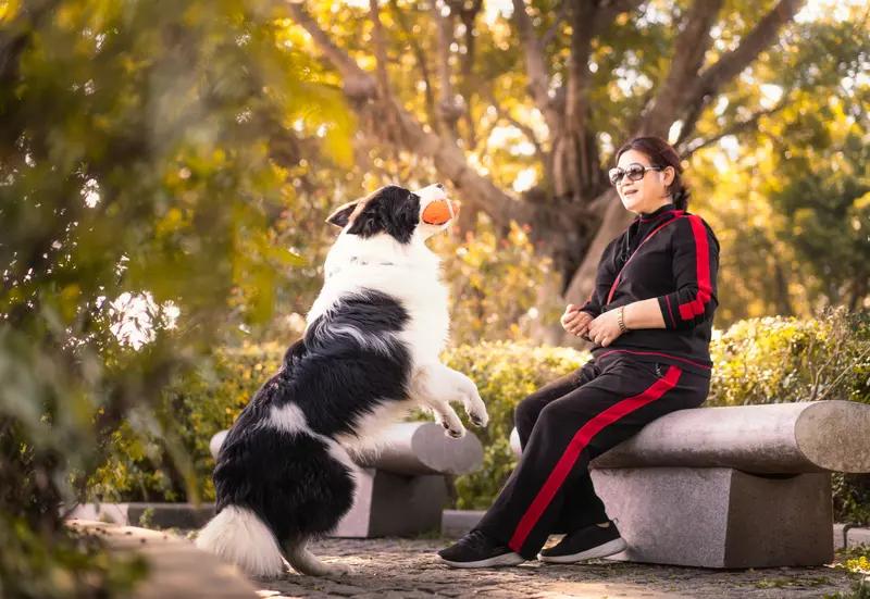 【人到中年，最高境界“放”】人到中年，“放”真是一种高级境界。