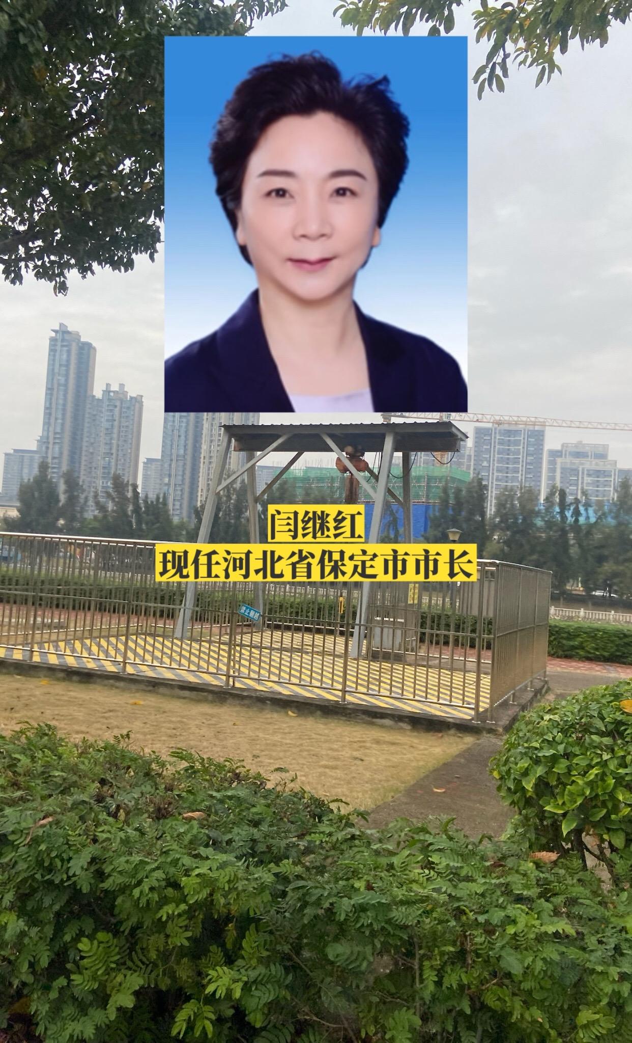 河北保定市政府领导。