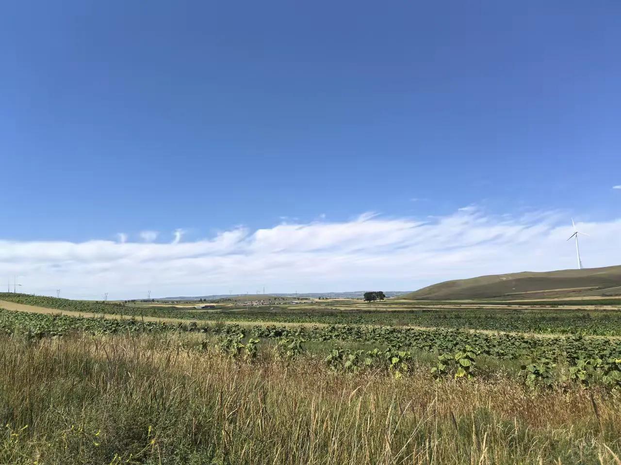 俄罗斯也是告诉我们一个道理，就是不管到任何时候，熬，永远是一种竞争力，而且可以说