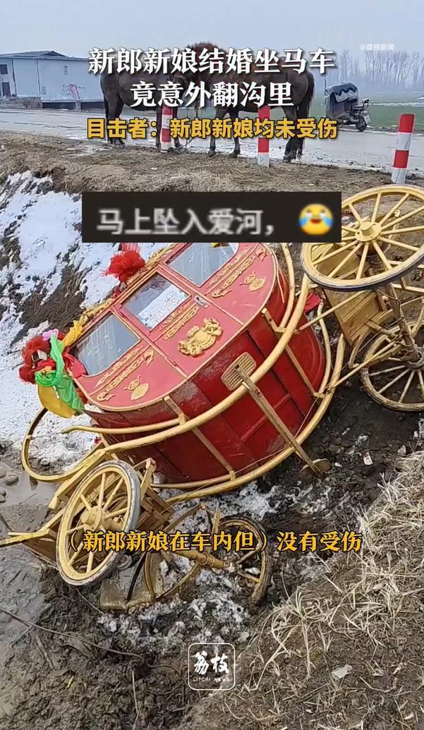 不厚道的笑了！河南周口，一对新人在腊八节当天结婚，为了婚礼更有纪念意义，特意选择