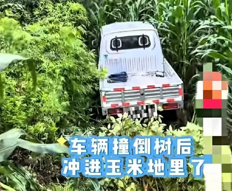“这就是马路女杀手的杰作！”近日，贵州毕节，一女子，刚拿到驾照20天，就开着家里