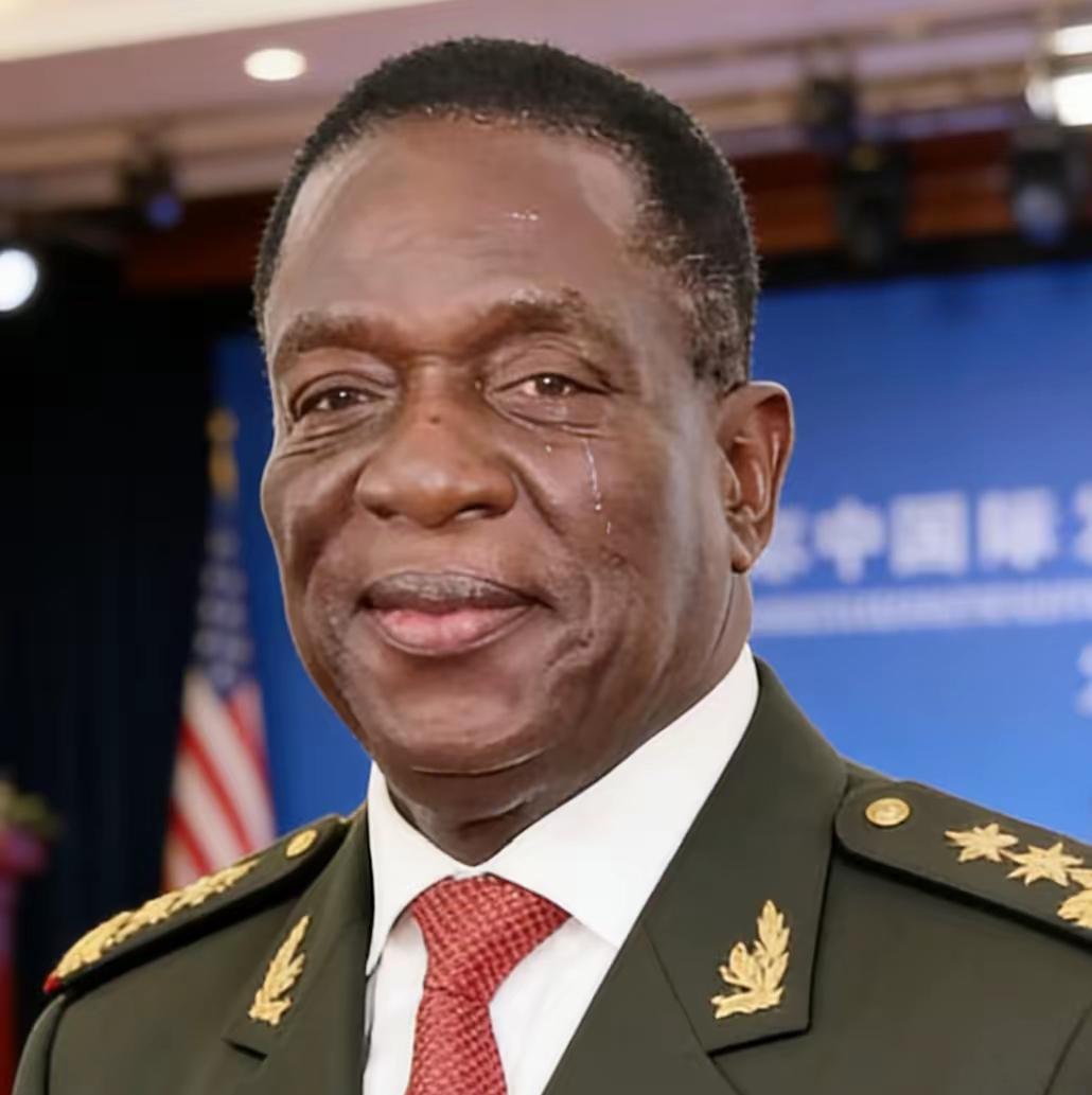 就在刚刚前脚巴拿马不顾中方反对，强行接管了巴拿马港口，后脚津巴布韦突然宣布暂停