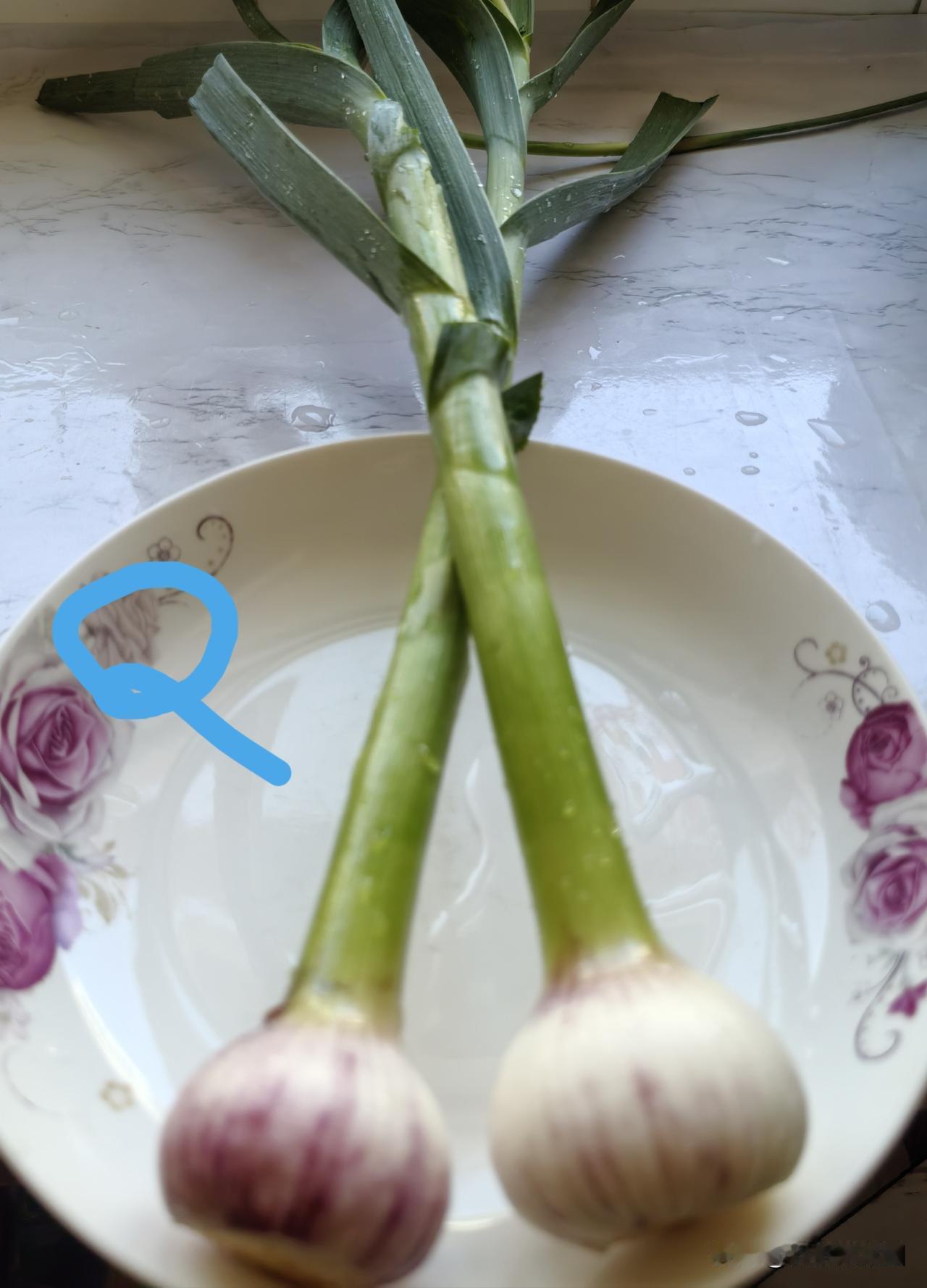 有一定影响，但不似人们普遍想象的那样。经过9年对比观察发现，不打蒜薹，对大蒜