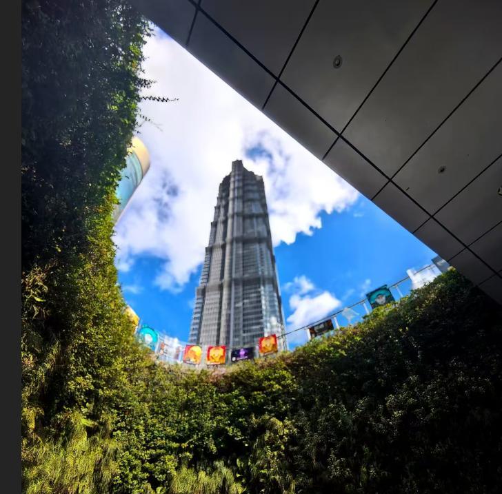 同事约我带着家人去甘南自驾游，说是到时候可以露营住帐篷。闻言，我果断拒绝了。同事