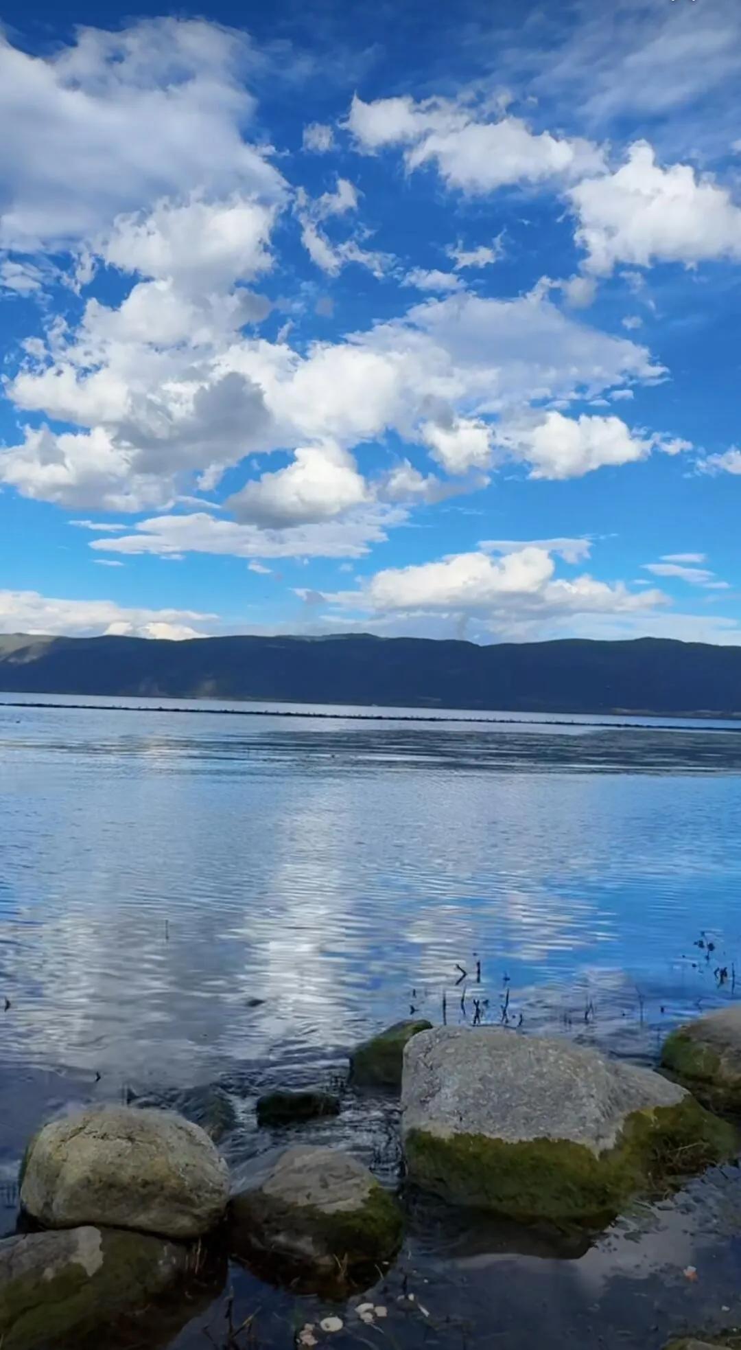 昨天，亲家来我家提亲，经过商量，我们最终达成共识：1、男方不出聘礼，女方不带陪