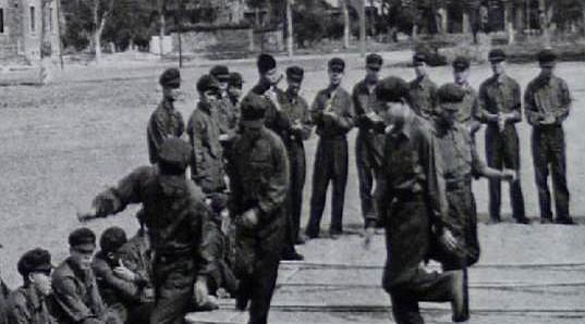 1979年6月20日，是中越战俘交换的最后一批现场。那天，友谊关边境线上站满了