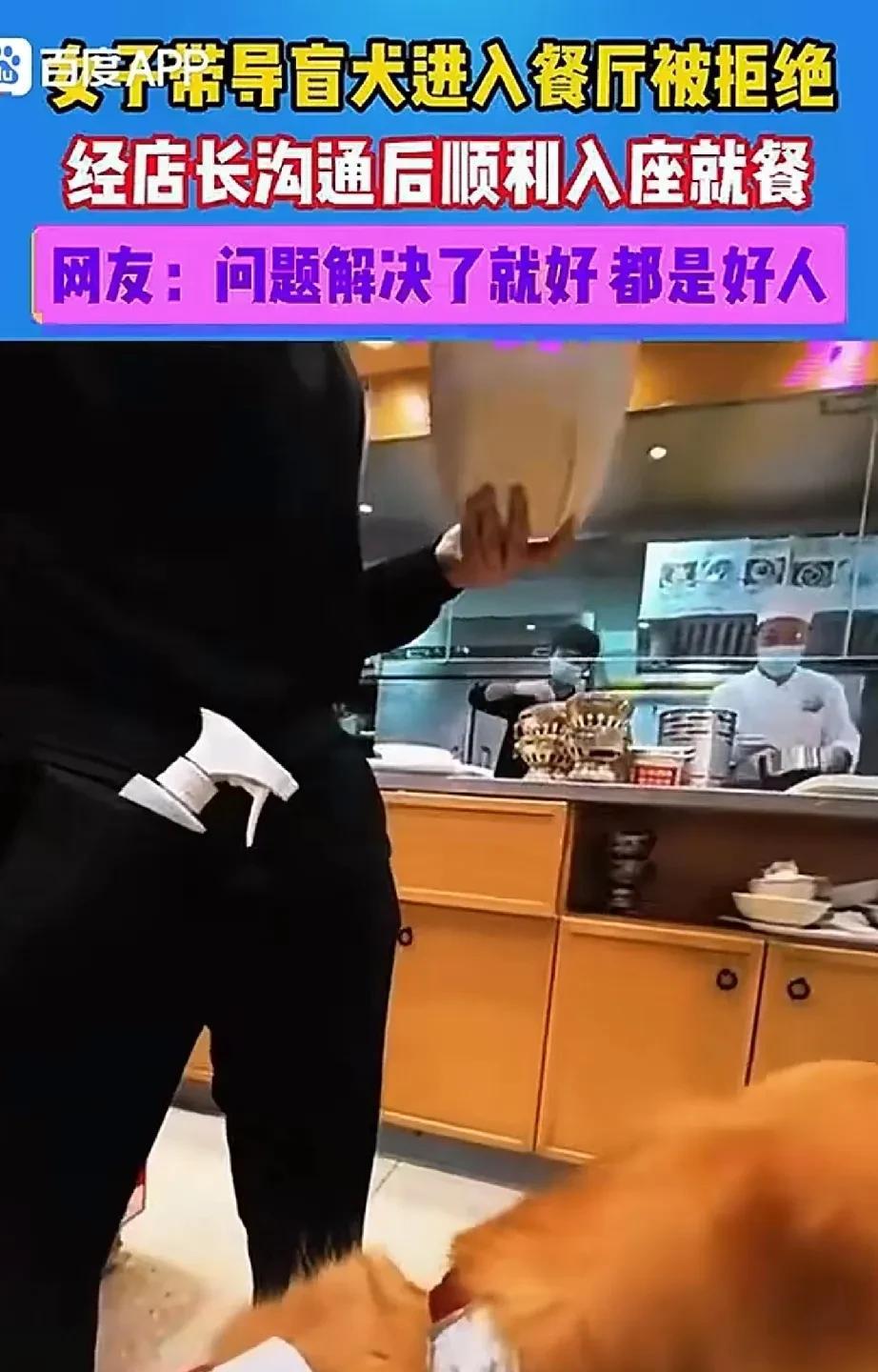 发现了没有？在国内很少看见有盲人或者其他的残疾人单独出行？今天刷到一个视频，有