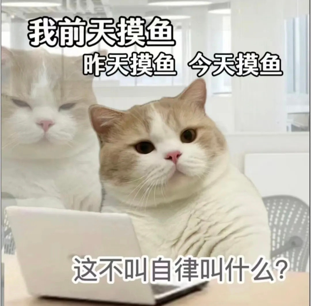 “很内向在工位都不敢工作”打工小猫表情包我的精神状态凉好表情包​​​