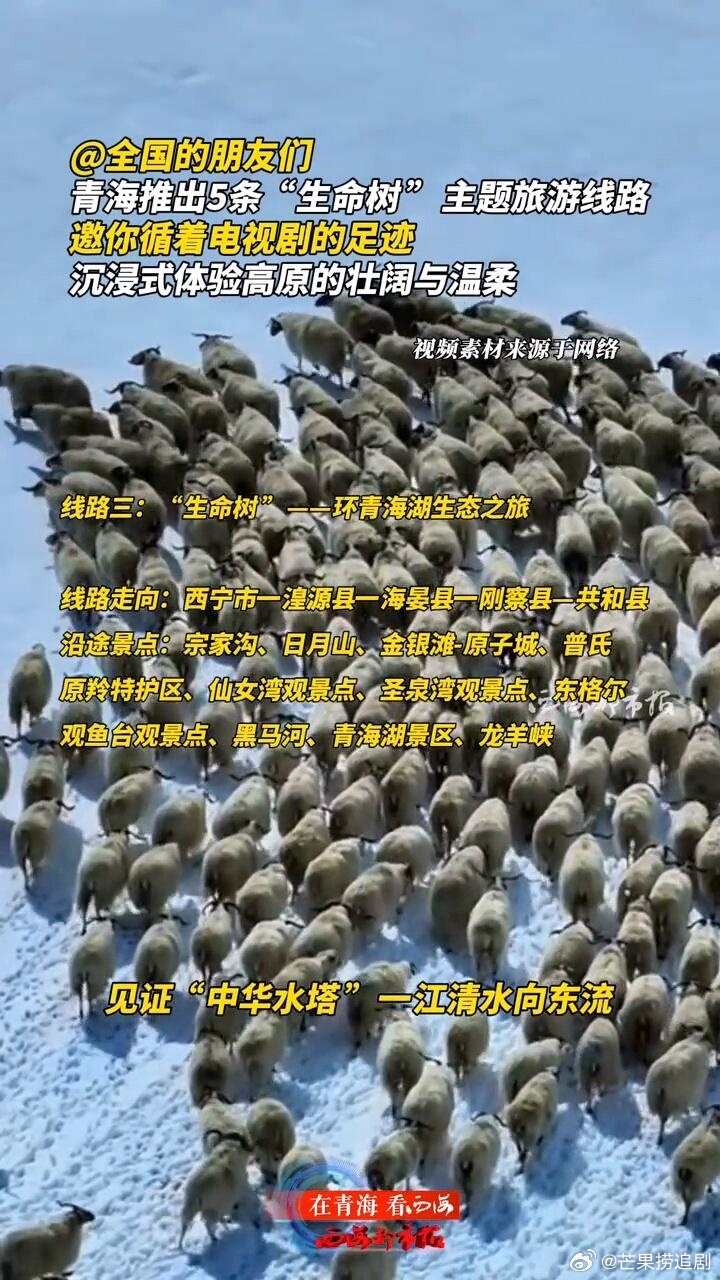 生命树开播即爆火，全网传播量超10亿次！|||官方数据显示，《生命树》自开播以来