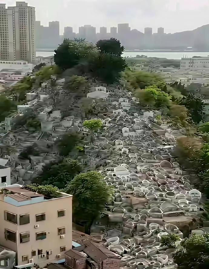 从有土葬开始中国死了几十亿人，耕地也没被塞满！占山头、卖墓穴是从火葬开始的。
