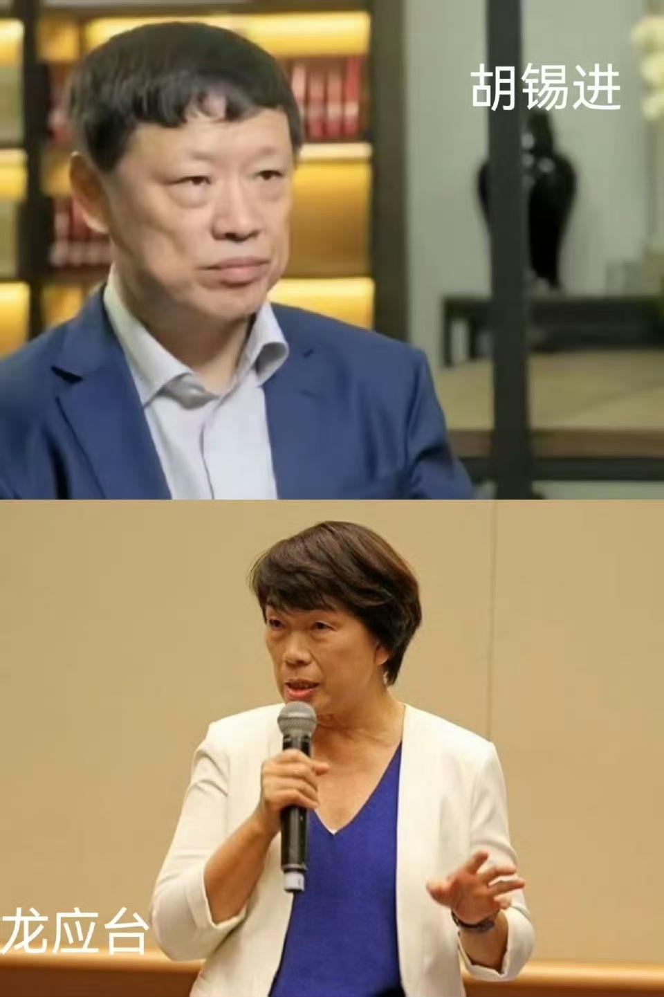 @胡锡进有一个网红叫做留几手，平时以低俗的言论博出位。2019年付国豪遭到袭