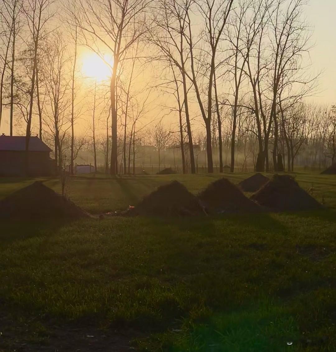 殡葬新规来了关乎每个人的身后事3月30日开始实施，估计农村传统殡葬这个方式，